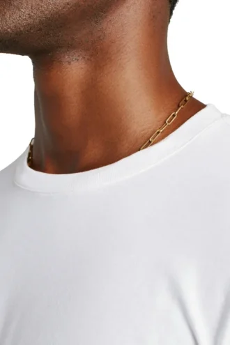 Organic Cotton T Shirt for Men