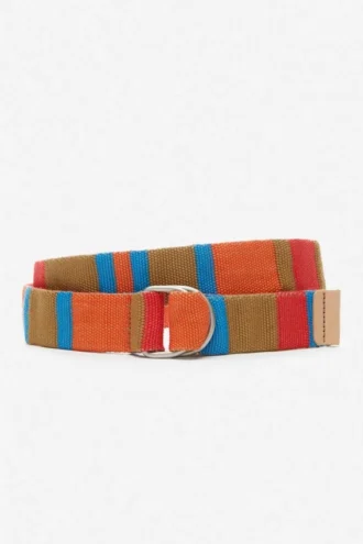Stripe D-Ring Webbing Belt